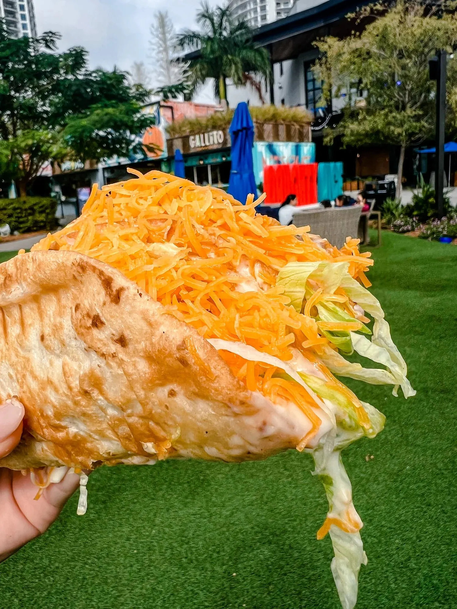 A puffy taco piled with shredded lettuce and cheddar, held up on the lawn at Sparkman Wharf