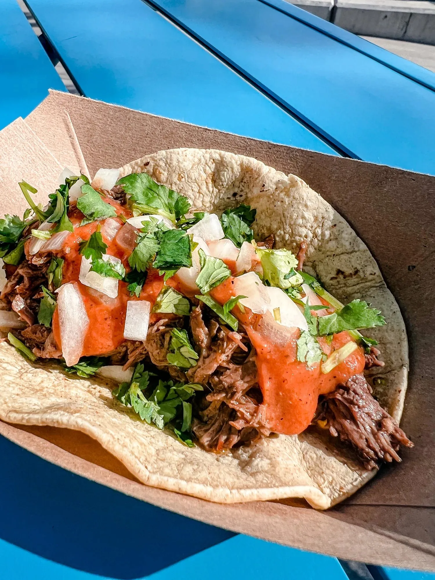 A shredded beef taco topped with onions, cilantro and roasted red salsa